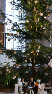 Christbaum in der Bürgleiner Kirche, im Vordergrund Krippe